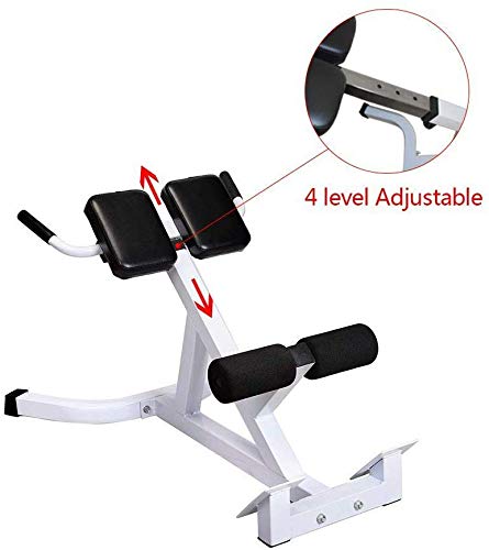 Henf Roman Chair, Hyperextension Bench Adjustable 45 Degree AB Back Abdominal Exercise Sports Machine for Strength Training,White & Black