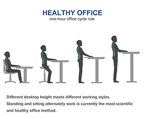 Amposei Electric Standing Desk Height Adjustable Sit Stand Desk, 48 x 24 Inches Stand Up Home Office Workstation Computer Tabletop with 4 Memory Buttons - White