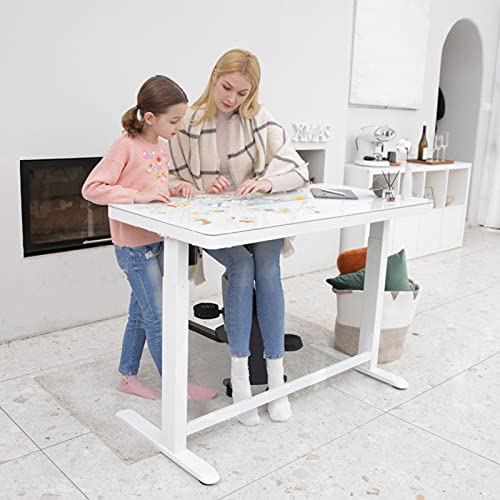 Flexispot Electric Height Adjustable Standing Desk with Drawer 48 x 24 Inch Tempered Glass White Desktop & Frame Home Office Computer Workstation (2.4A USB Charge Ports, Memory Controller, Child Lock)