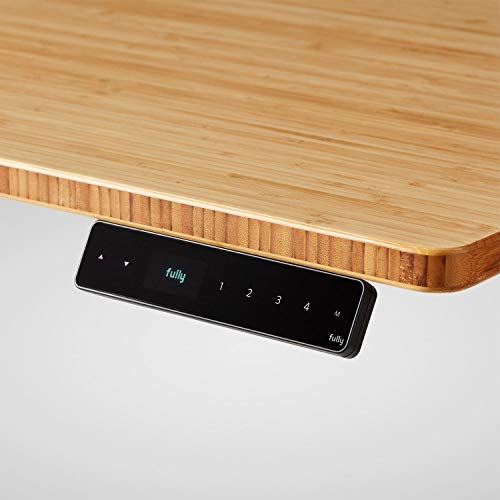 Fully Jarvis Standing Desk 48" x 30" Bamboo Top - Electric Adjustable Desk Height from 25.5" to 51" with Memory Preset Controller (Rectangle, Silver Frame)
