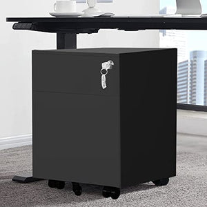 INLIFE 2 Drawer Mobile File Cabinet with Lock - Metal Filing Cabinet for Legal/Letter/A4/F4 Size - Fully Assembled with Wheels - Black, 198