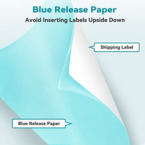Jiose Label Printer + 1000pcs Thermal Labels with Holder