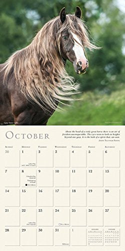 The Spirited Horse 2018 Calendar