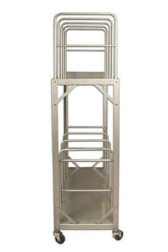 Creative Mark The Original Space Rover - for Storing & Organizing Canvases, Panels, Artwork, Framed & Unframed Art, Boards, Pads, Large Portfolio Cases, Steel Construction