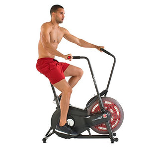 Schwinn AD6 Airdyne Exercise Bike