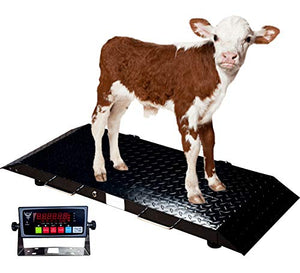 PEC Livestock Animal Scales, Medium Size Animals Vet Scale for Goat/Calf/Pig, 2000 x 0.5 lb Capacity