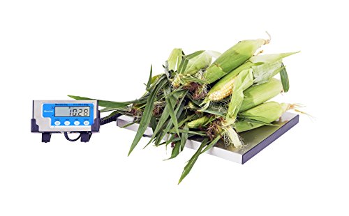 Avery Weigh-Tronix Saltner Brecknell 400 lb Portable Shipping Scale (SBWLPS400)