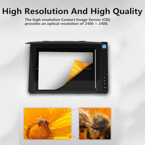 KEULEN Flatbed Scanner A3 Photo Scanner 2400x2400 Resolution Color 200dpi Scan 12"x 17" in 4 Sec Software for Image Processing and OCR Text Recognition Windows Mac Driver Available