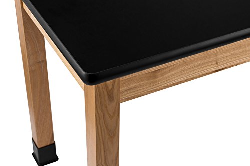 National Public Seating Science Lab Table, 24" x 48", High Pressure Laminate Top, Black/Ashwood
