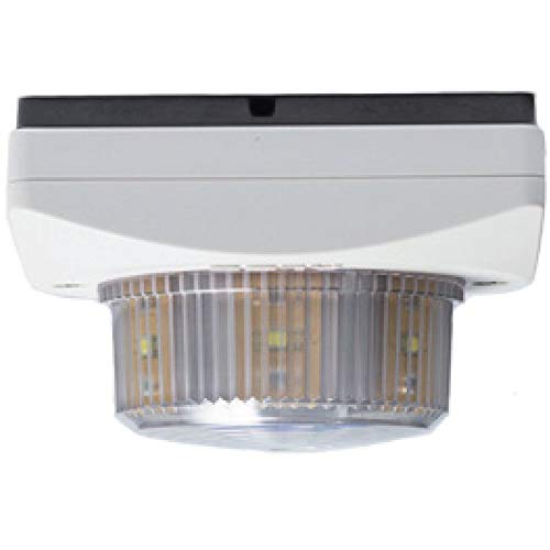 Algo 8128 IP Strobe Light for VoIP Notification & SIP Alerting