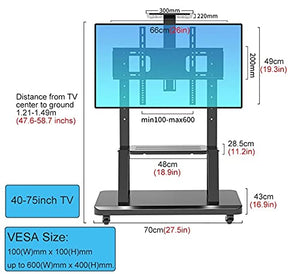 SSZY Rolling TV Cart Mobile TV Stand for 40-65 Inch Flat Screen, Black Heavy Duty Universal TV Floor Stand with 2 Storage & Wheels