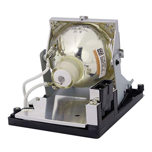 Lytio Premium for Optoma BL-FS300C Projector Lamp 5811116519-S (Original Philips Bulb)