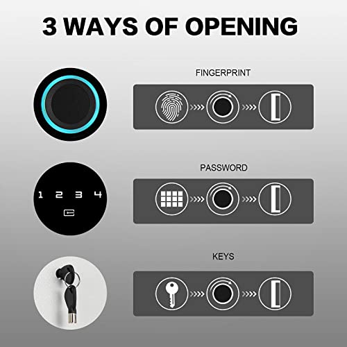 Langger V Biometric Safe Fingerprint Security Wall Safe (White - Large)