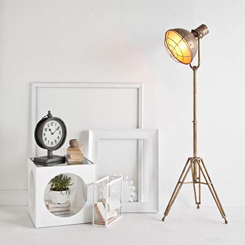 Carica Floor Lamp