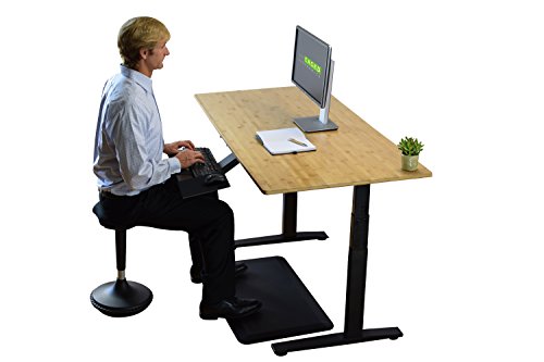Rise UP Dual Motor Electric Bamboo Standing Desk 60x30" Desktop Tall Ergonomic Motorized Height Adjustable sit to Stand up Home Commercial Office Computer Workstation Modern Lift Raising with Memory