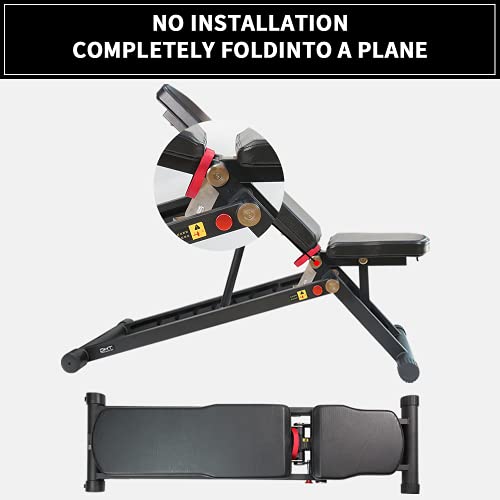 DHT Foldable Weight Bench, Adjustable Strength Training Bench for Full Body, Workout Fast Folding Bench for Home, Gym