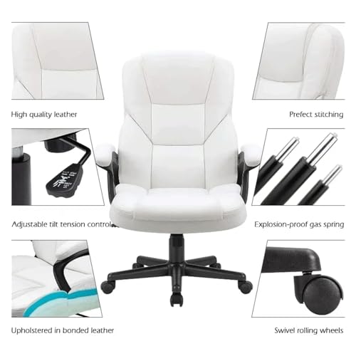 High-Back Executive Office Chair with Lumbar Support