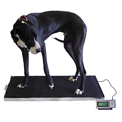 AMSTON SCALES 700 LB x 0.1 LB 38 x 20 Inch Platform Digital Heavy Duty Welded Steel Floor Bench Shipping Scale NEW