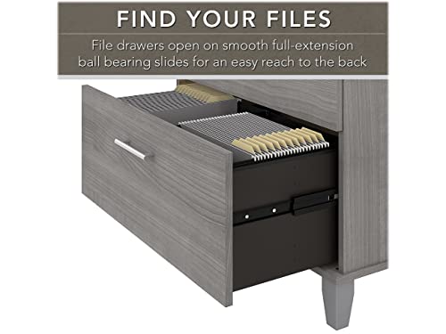 Bush Furniture Somerset 2-Drawer Lateral File Cabinet, Letter/Legal, Platinum Gray 30-Inch (WC81280)