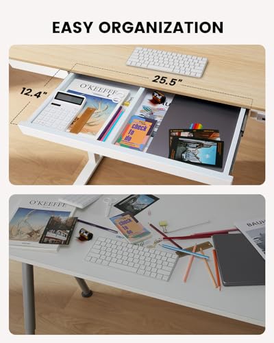 ErGear Electric Standing Desk with Drawer, 48 x 24 inch, USB Charging Ports