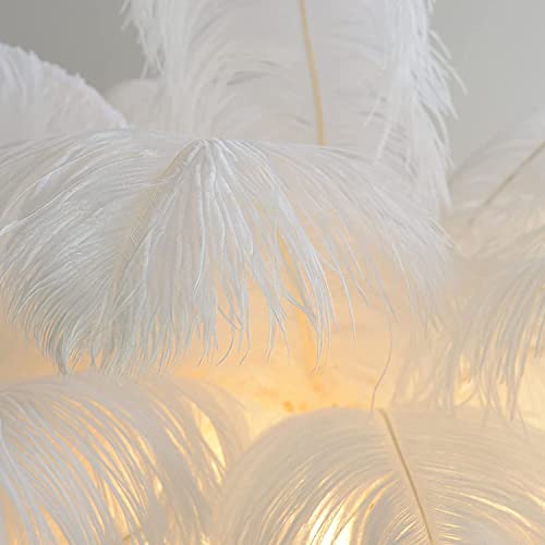 JYCCH Ostrich Feather Floor Lamp - Black 120cm, Orange 80cm