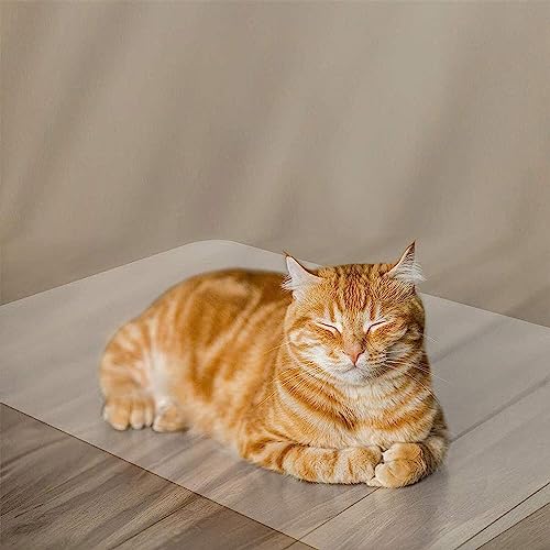 PHONME Transparent Floor Mat for Hardwood and Tile Floors, Anti-Slip Desk Chair Protector (140 * 200cm)