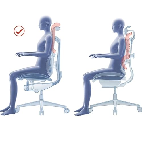 MADALIAN Ergonomic Net Chair with Waist Support - Executive Home Office Chair