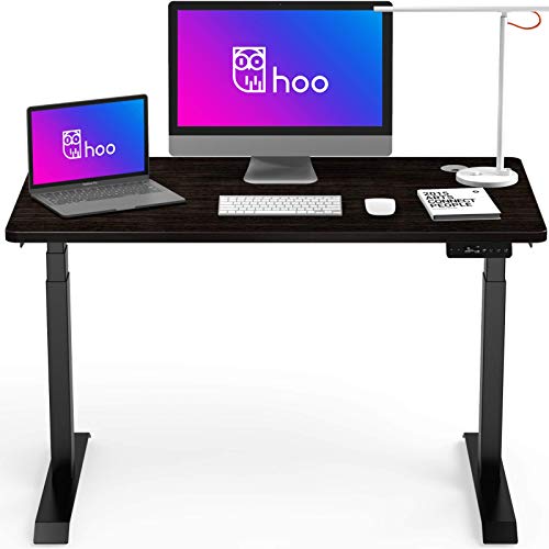 Hoo Dual Motor Adjustable Height Electric Standing Desk 47 x 27 inches, Electric Sit Stand Desk with Solid Top Assembly in 5 Minutes, Smart Stand Up Desk with 3 Stage Adjustable Frame for Home Office