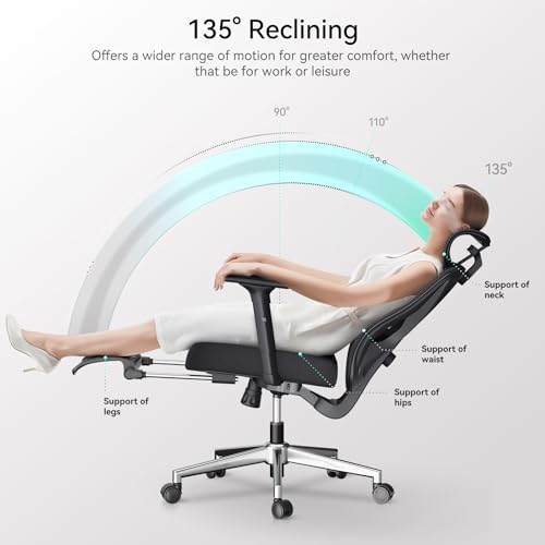 Hbada Ergonomic Office Chair with Adjustable Lumbar Support, Height, Footrest, 2D Headrest - Black