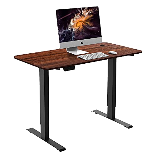 HOUSEELF Dual Motor Electric Standing Desk - 48 x 24 Inches Height Adjustable Computer Desk with Greater Motor Power, Stand Up Writing Table for Home, Office, Workstation, Walnut