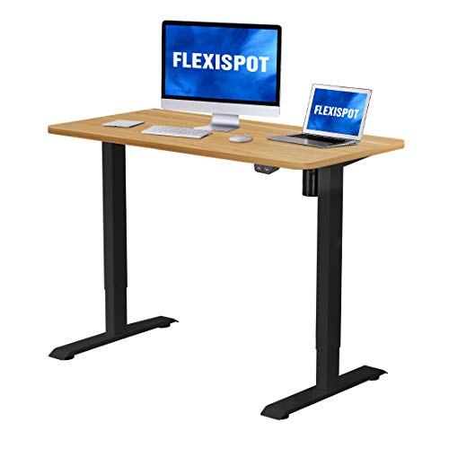 Flexispot Standing Desk Electric Small Desk Height Adjustable Desk Sit Stand Desk Home Office Table (42x24 Black+Maple)