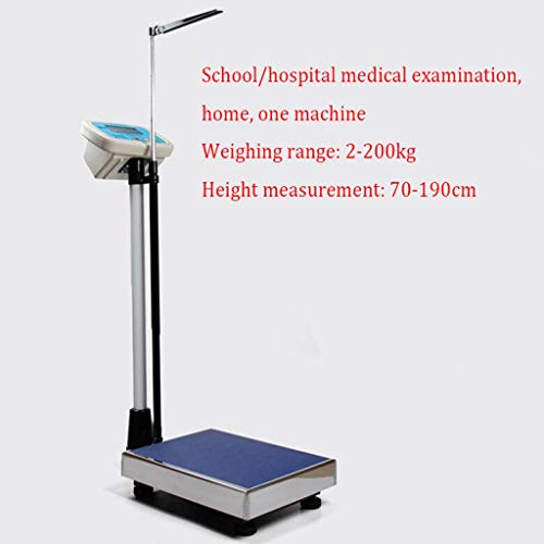 LJFDDY Waterproof Digital Bench Scale - Heavy Duty Folding Platform for Shipping & Shop Weighing