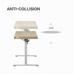 SanzIa Electric Standing Desk with Drawers and USB - Single Motor Sit Stand Desk - Office or Home Workstation