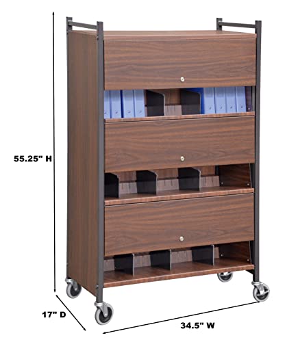 Omnimed Lockable 3 Tier Woodgrain Chart Rack - American Made