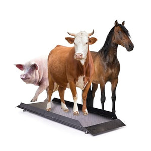 PEC Livestock Scale with Two Ramps - Animal Weighing Equipment for Large-Sized Animals