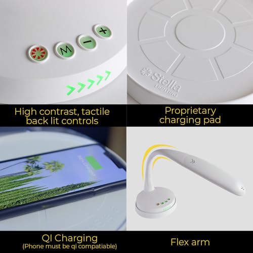 Stella Lighting Portable Task Lamp - Dimmable, Custom Color Temperature, Adjustable, Remote Controlled Standing Lamp