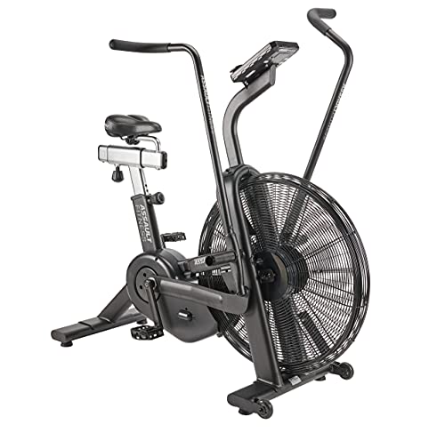 AssaultBike Pro