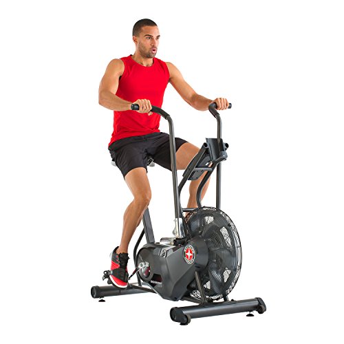 Schwinn AD6 Airdyne Exercise Bike