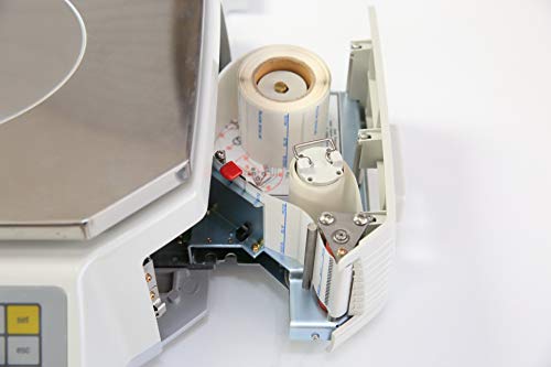 Easy Weigh LS-100-N 60 LB Price Computing Printing Scale
