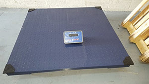 Prime Scales 10000x1lb Floor Scale | Pallet Scale with SFL Indicator (48"x48")