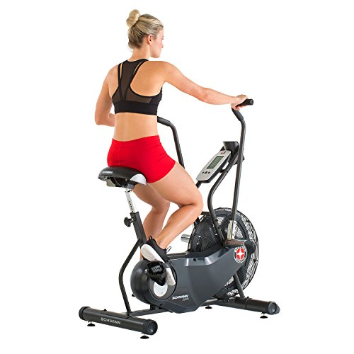 Schwinn AD6 Airdyne Exercise Bike