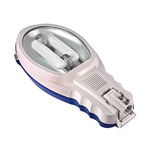 LDV Street Light Circular 80W Iduction Lamp Tube Pole head 4000k for outdoor