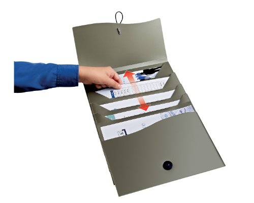 Avery Slide and View Expanding File, Gray, Five Pockets, Letter Size, 1 Folder (73518)