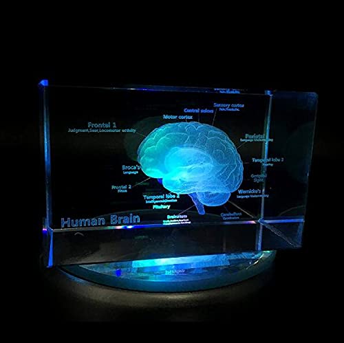 GRFIT Magic Gel Cushion with Honeycomb Structure and Washable Cover