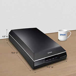 Epson Perfection V600 Color Photo & Document Scanner - Renewed