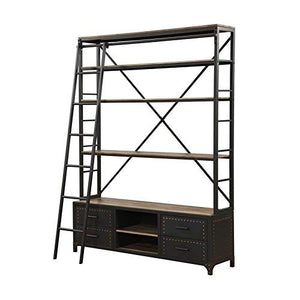 ACME Actaki Sandy Gray Bookshelf & Ladder