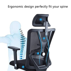 Ticova Ergonomic Office Chair with Adjustable Lumbar Support & 3D Metal Armrest