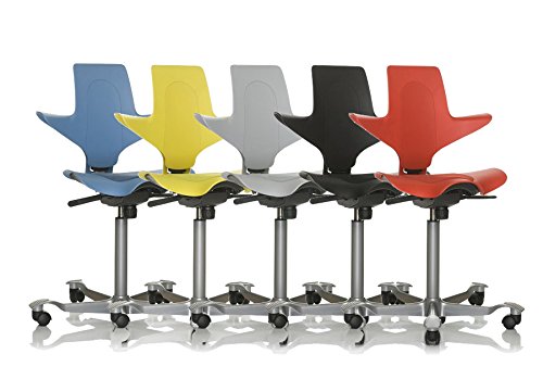 Hag Capisco Chair Puls 8010 Silver Lacquered Frame - Grey Seat