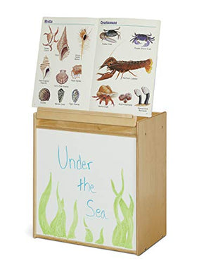 Jonti-Craft YoungTime 7094YT Big Book Easel