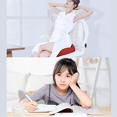 XIXIDIAN Memory Foam Seat Cushion for Office Chair - Sciatica & Lower Back Pain Relief